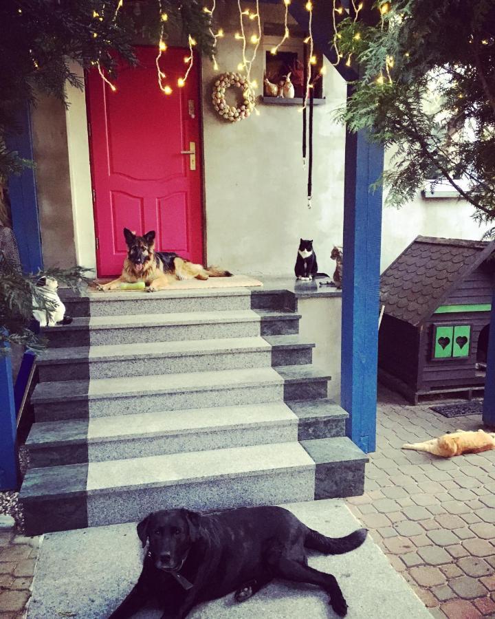 Cat Stone Villa Pisz Bagian luar foto